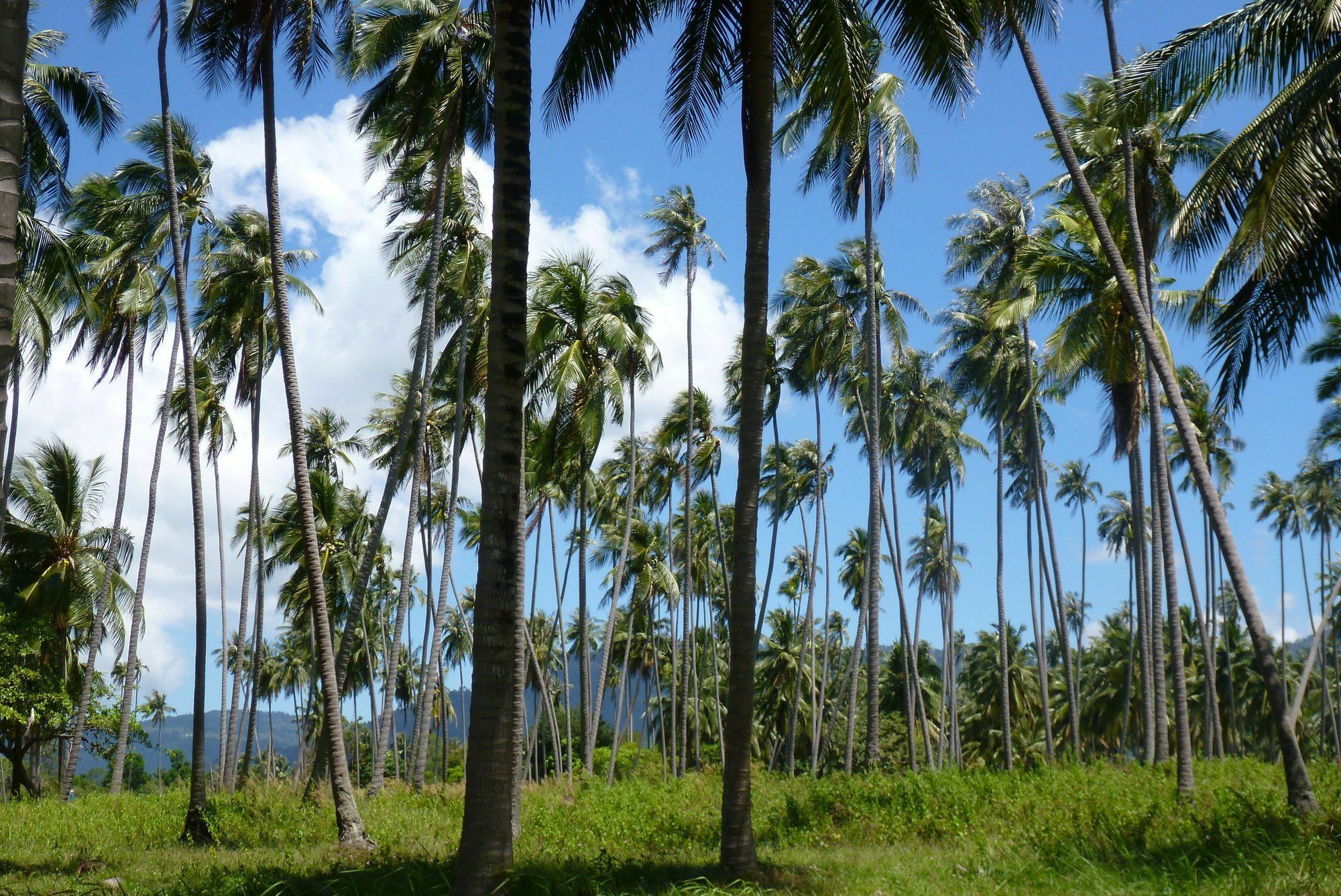 Maenam Hills Samui Hotel Mae Nam Buitenkant foto
