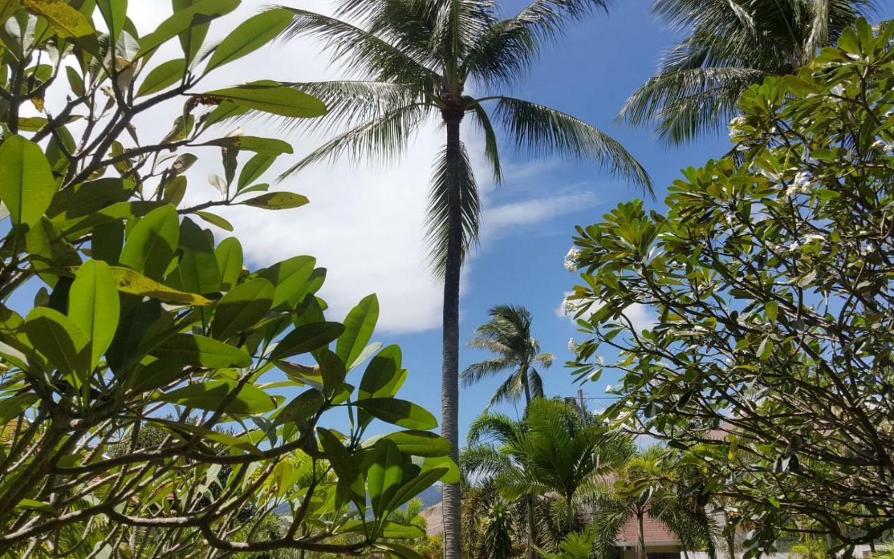 Maenam Hills Samui Hotel Mae Nam Buitenkant foto